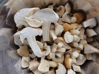 očištěné houby – plodnice čirůvky májovky