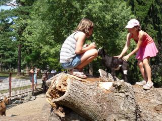 Mnohem víc turistů a návštěvníků přijíždí na Svatá Kopeček za jiným účelem – prohlédnout si olomouckou zoo. Je otevřena celoročně od devíti hodin ráno. Jako většina zoologických zahrad, i zdejší využívá moderních interaktivních expozičních metod, aby poskytla prohlídku, poučení, estetický zážitek i zábavu pro celou rodinu, zejména pro děti. Před zoo je velké parkoviště, ale na Svatý Kopeček je možno dojet MHD.