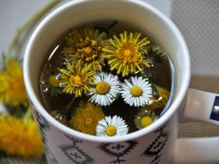 Jak zpracovat květy pampelišek | recepty z pampelišek na želé, čaj a sušenky