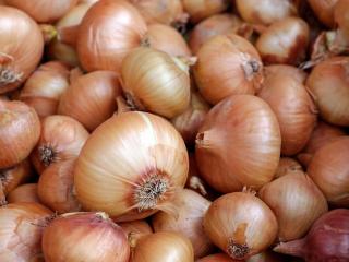 Jak si usmažit výborné tvarůžky s lepenicí | recept Jak si usmažit výborné tvarůžky s lepenicí | recept