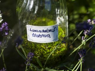 Jak vyrobit a využít levandulovou tinkturu Jak vyrobit a využít levandulovou tinkturu