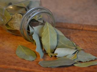 Jak využít bobkový list v kuchyni a poznat jeho další účinky | rady