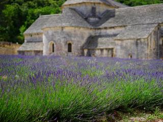 Jak si užít Provence | tipy