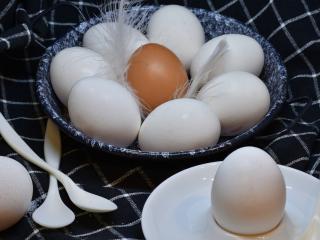 Jak správně uvařit vejce | rady a tipy do kuchyně