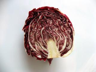 Radicchio – červená čekanka