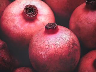 Jak si vypěstovat granátové jablko | rady