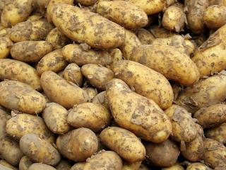 Jak udělat bramborovou pomazánku | recept