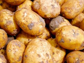 Jak správně uskladnit brambory | rady