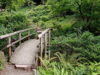 Jak založit japonskou zahradu | rady