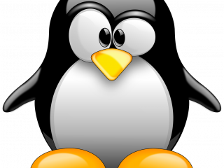 Jak postupovat při práci s operačním systémem Linux? | rady