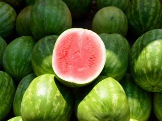 Jak pěstovat meloun | rady