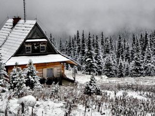 Jak si užít Vánoce na horách | rady